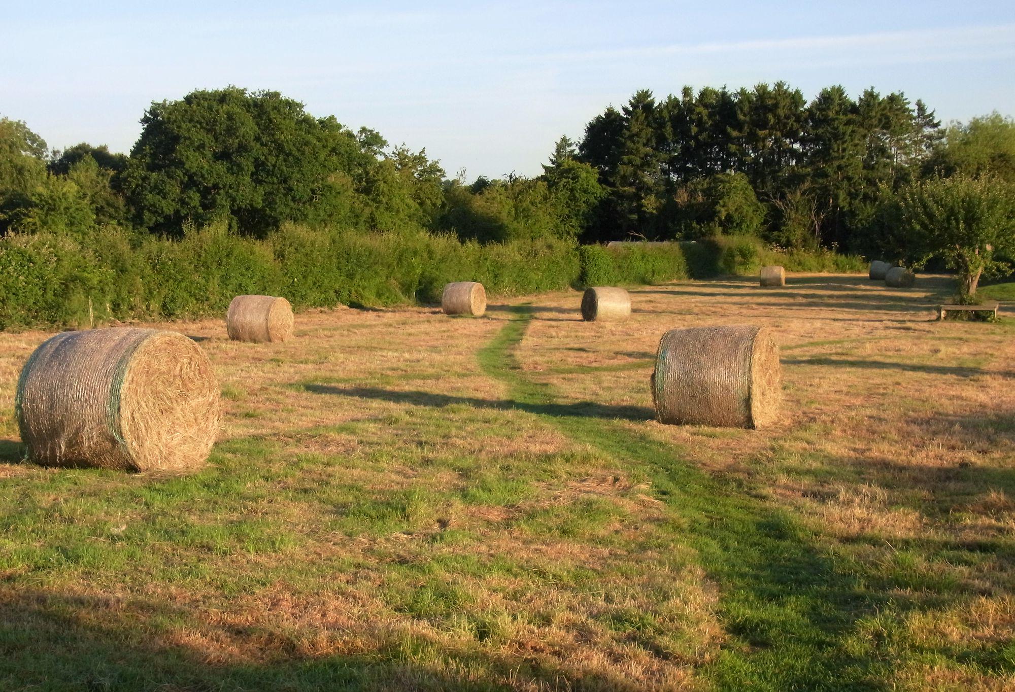 Leominster Camping | Campsites in Leominster, Herefordshire