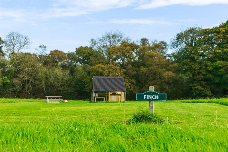 Finch - Ensuite Grass Pitch