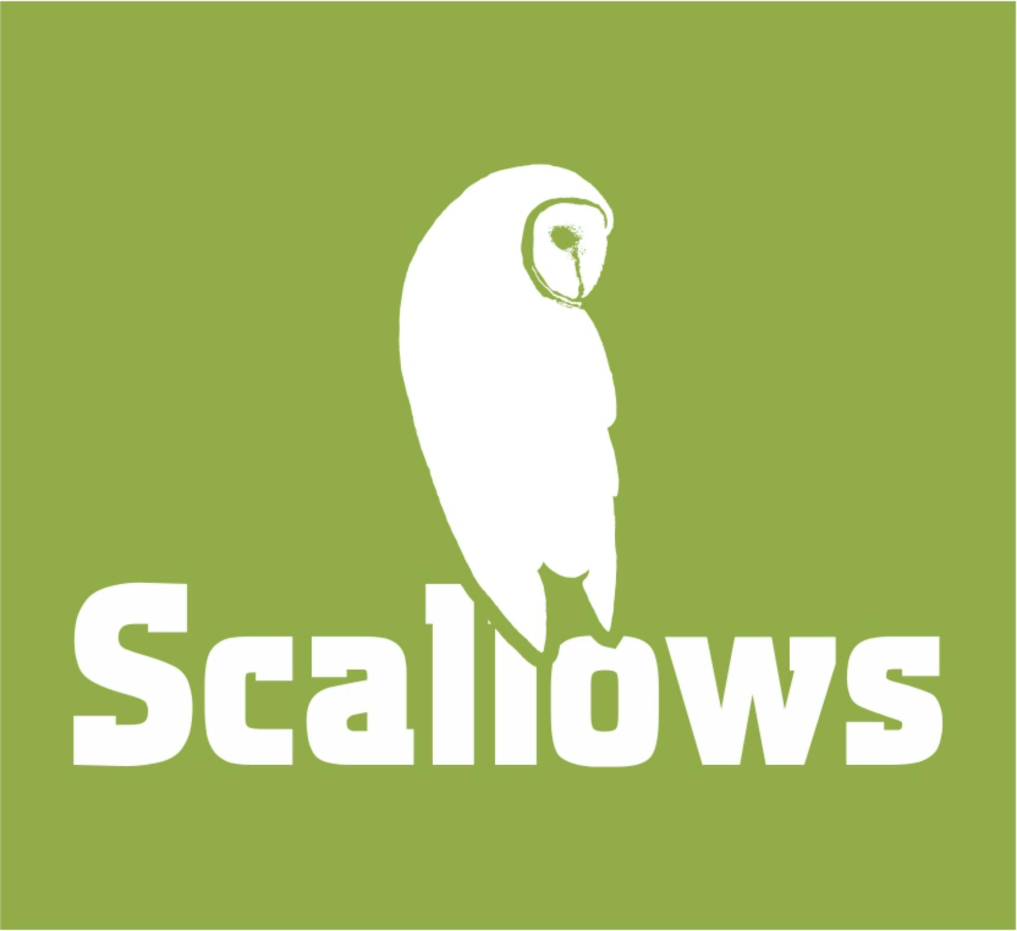 Scallow Campsite Pods