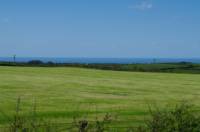 Summer Large Grass Pitch