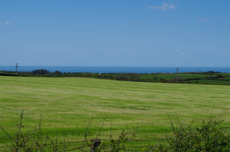 Summer Large Grass Pitch