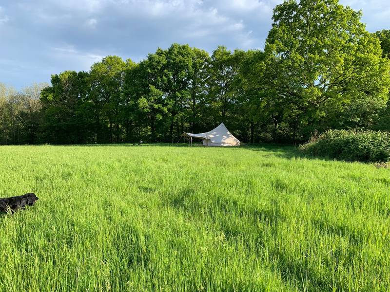 Star Field Glamping & Camping Charity Farm, Swattenden Lane, Cranbrook, Kent TN17 3PS