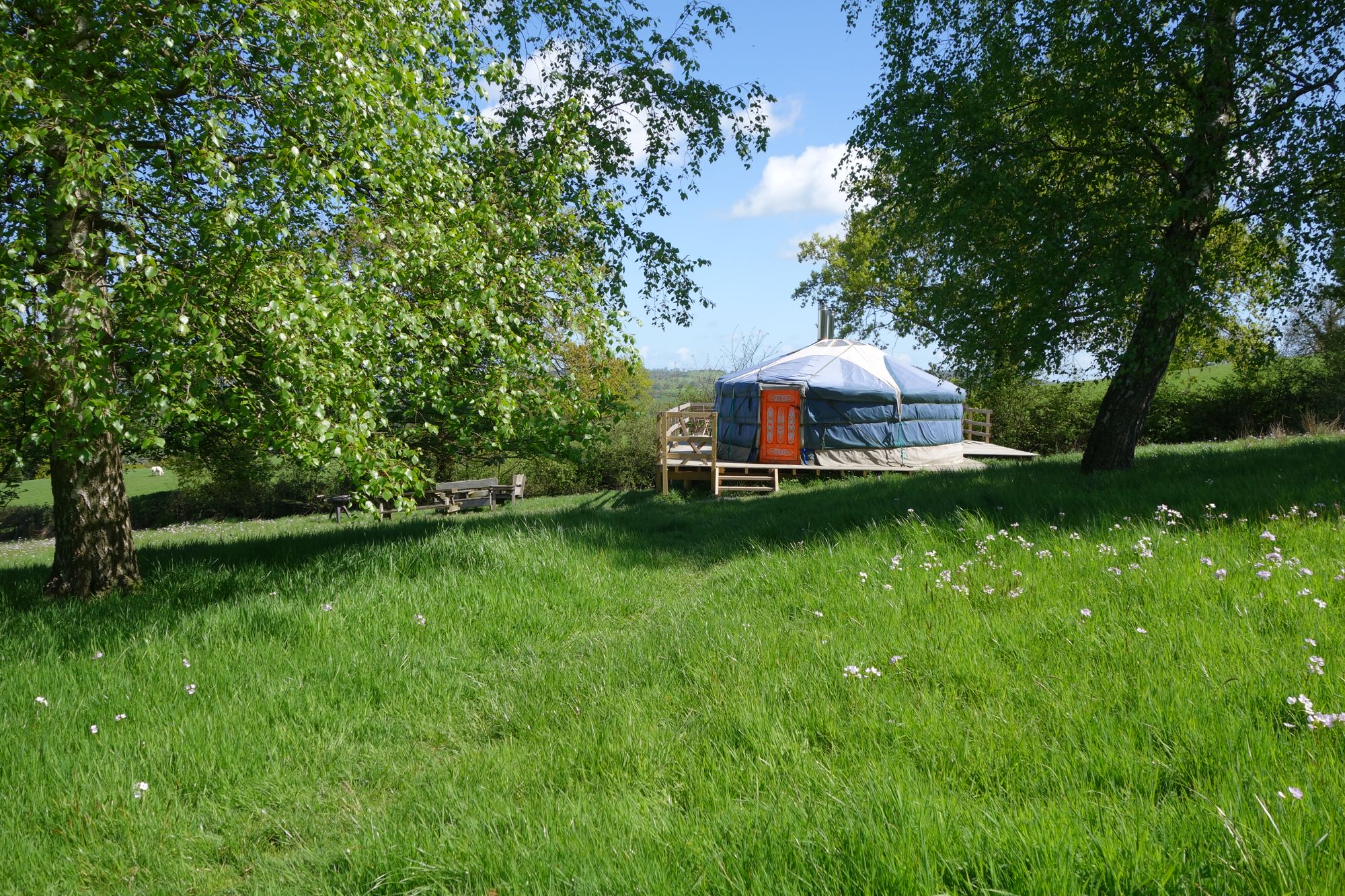 Oak Yurt 3 at Strawberry Skys Yurts Cool Camping (12849)