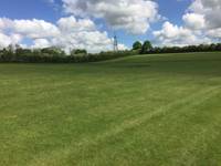 Grass Pitch