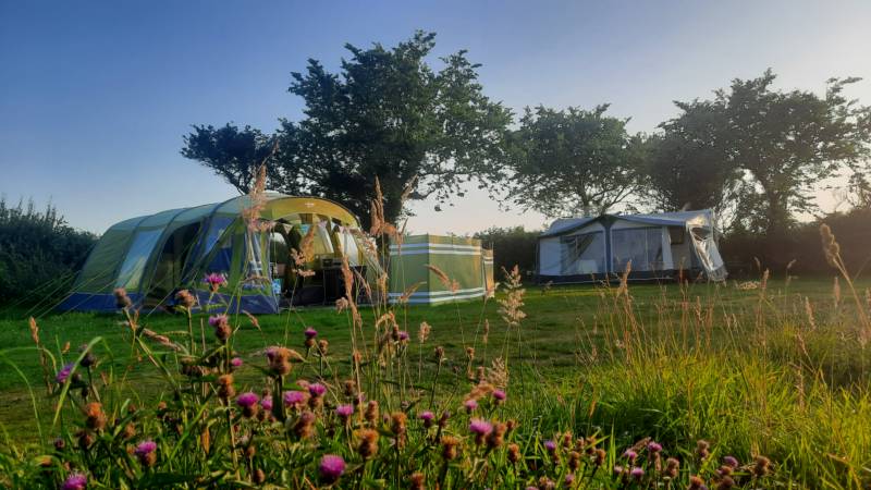 Grass Pitch 4 (optional electric hook-up)