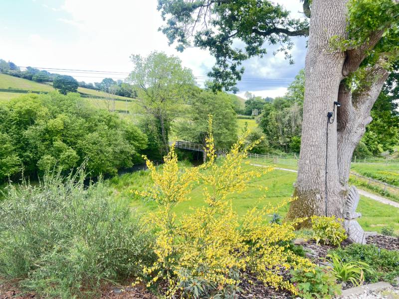 The Kingfisher Cabin