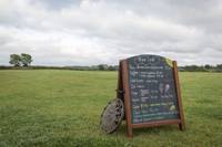 Grass Pitch