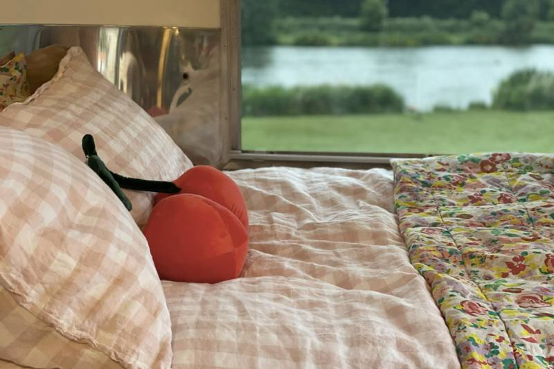 Silverbird Airstream Caravan