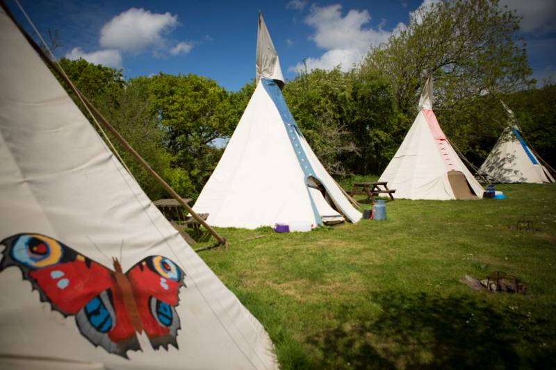 Medium Tipi 7- Village Field