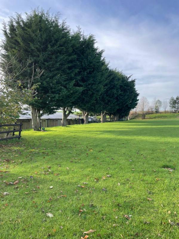 Campfire Fire Field Electric Pitch