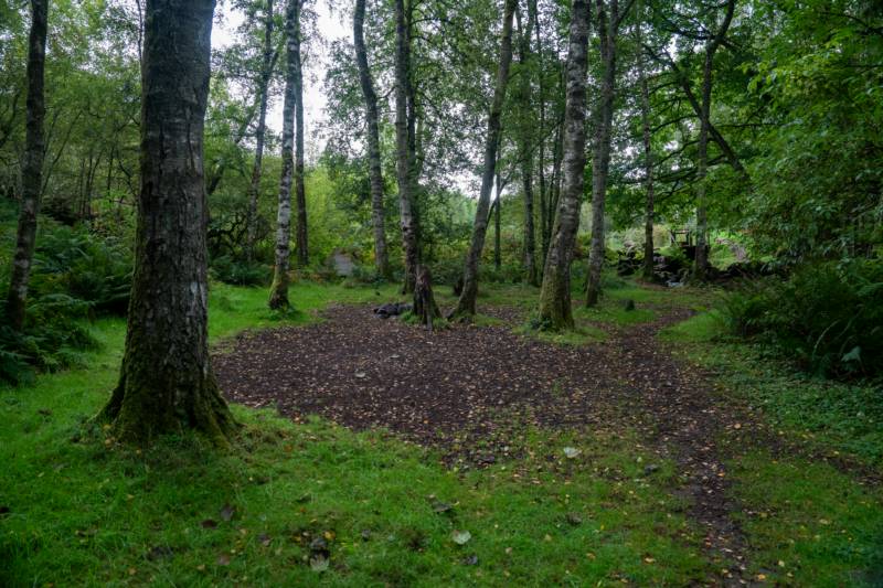 Woodland Tent Pitch 5 (3.5m x 3.5m)
