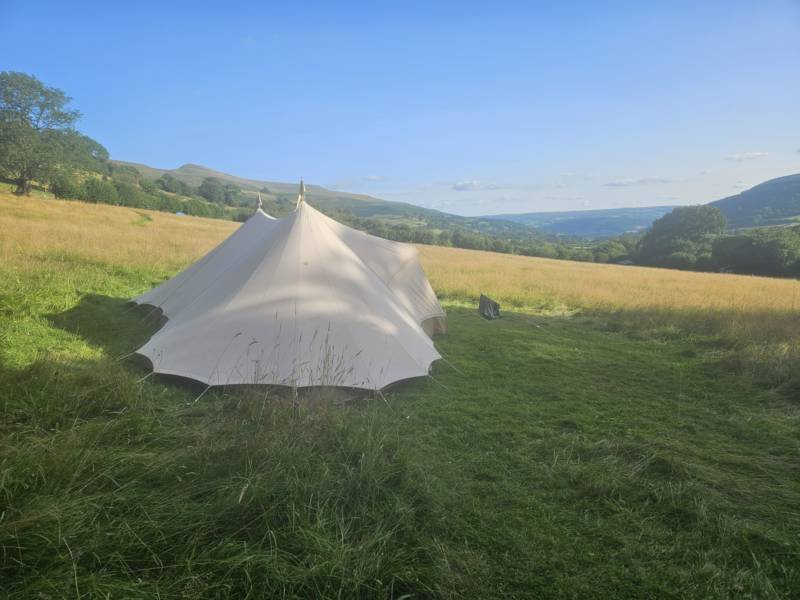 Tent Pitch - Upper Meadow
