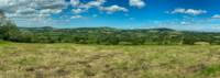 Little Coppet Landpod