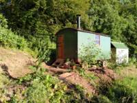 Willow Hut