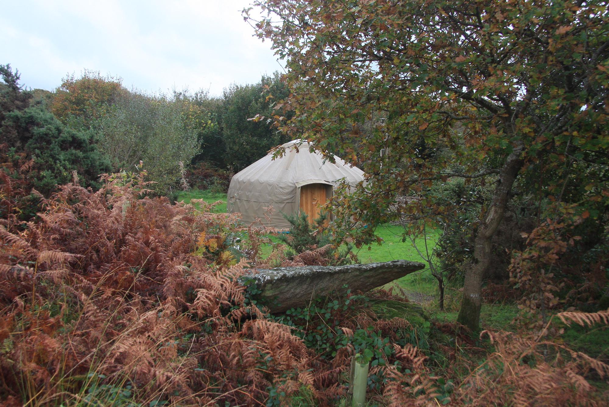 Oak Wood Yurt 2 at Cornish Yurt Holidays Cool Camping (15910)
