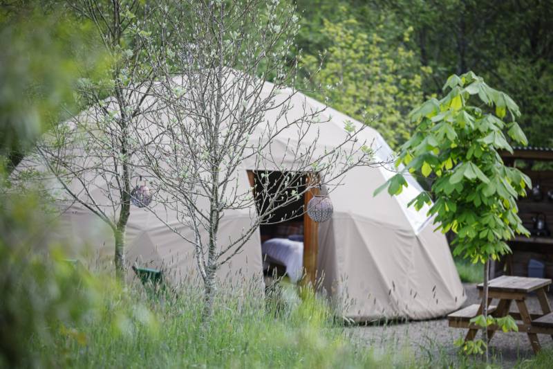 'The Drey'   Geo Dome