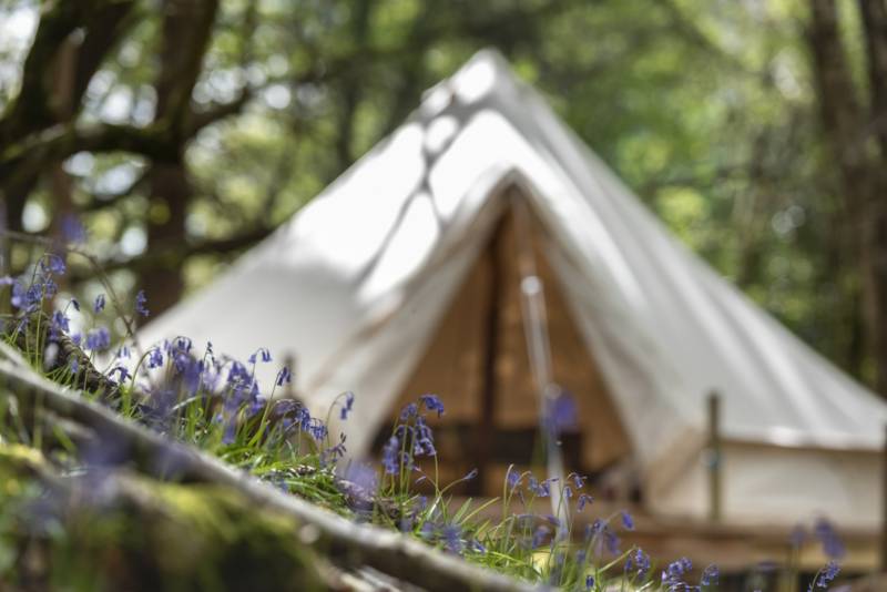 Cuddfan Bach - The Little Hideaway