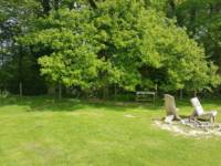 Tree Tent