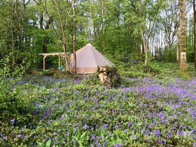 'Wild Glamping' Bell Tent