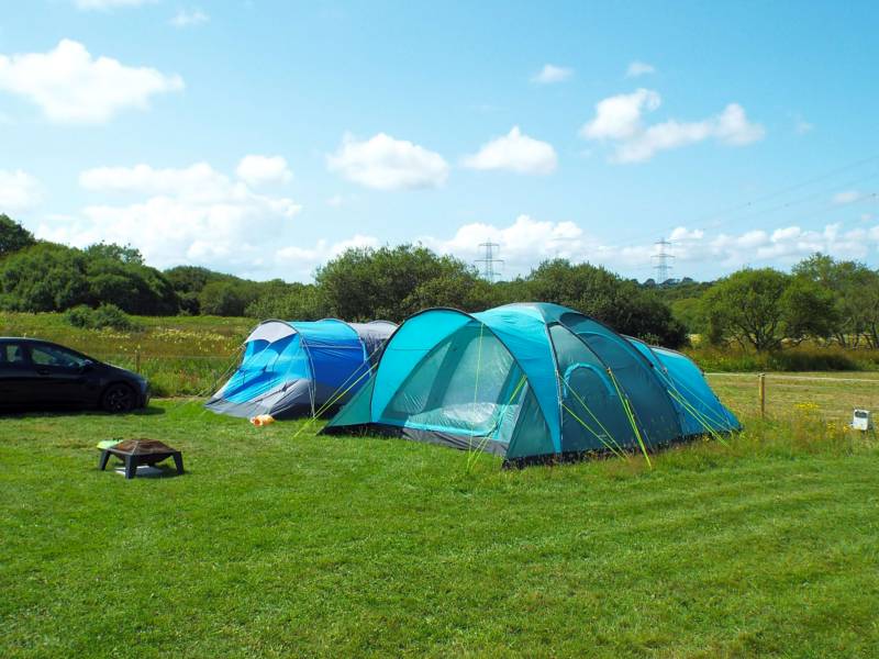 Electric Grass Pitch
