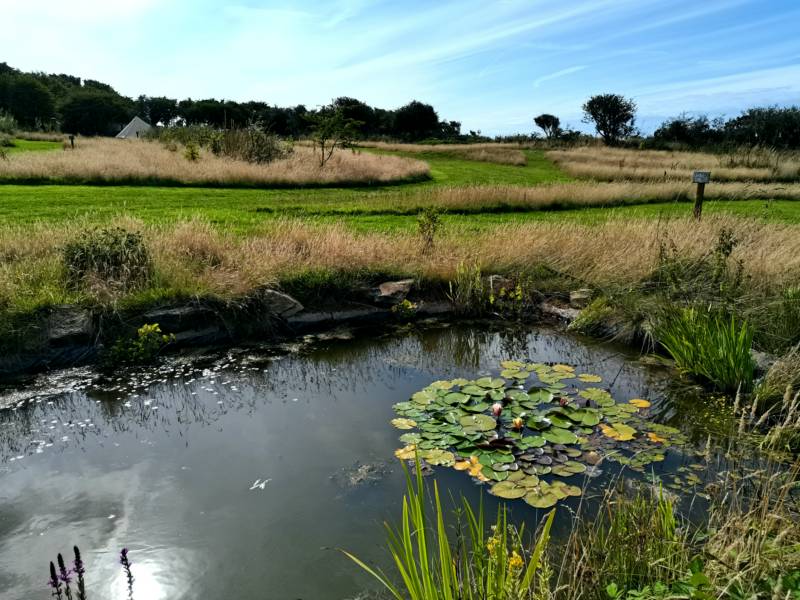 Meadow Grass Pitch 1