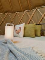 Ragwort Yurt