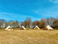 Willow - Bell Tent