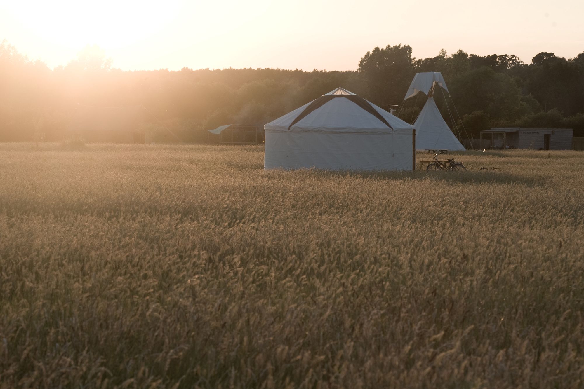 Campsites in West Sussex campsites in West Sussex Cool
