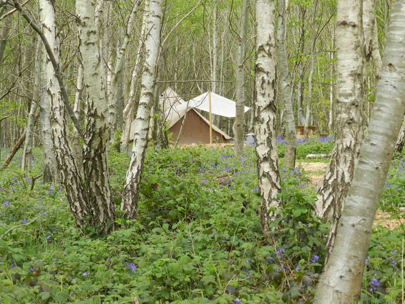 'Wild Glamping' Tent