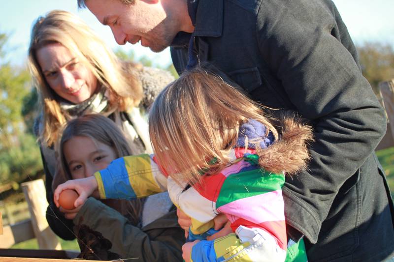 Lakeside Nuthatch Cabin