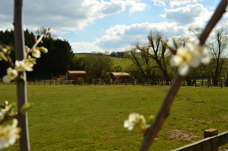 Campsites In The North York Moors National Park
