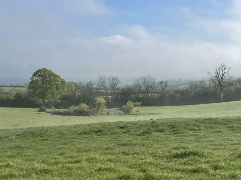 Camping Meadow - Pitch 8