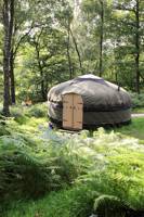 Grizedale Grizedale