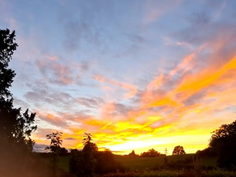 THE PHEASANTS LODGE (shepherds hut)