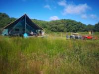 Non Electric Grass Tent Pitch