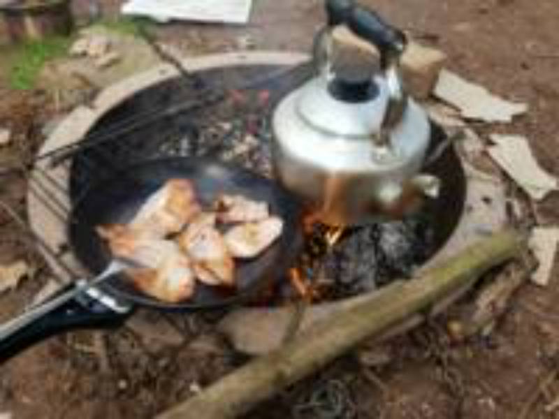 Tilia Bell Tent   (Dog Friendly)