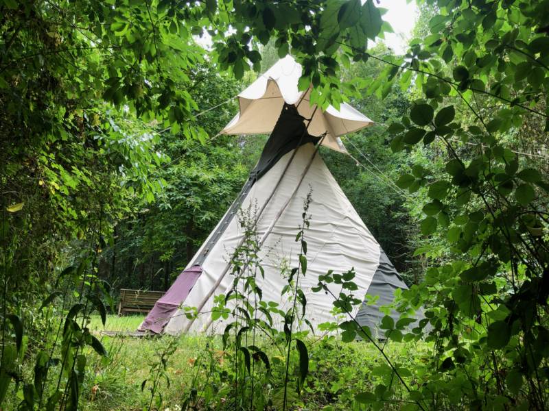 Robin Tipi