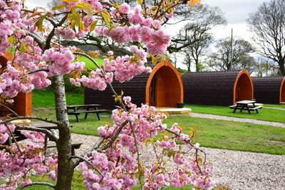 Waterside House Campsite Waterside House Campsite, Howtown, Penrith, Cumbria CA10 2NA