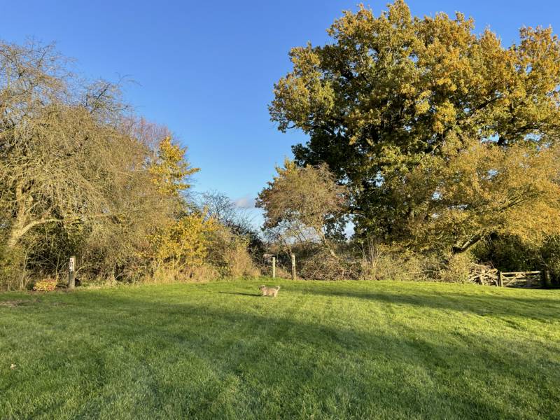 Grass Pitch with Electric Hook Up Point