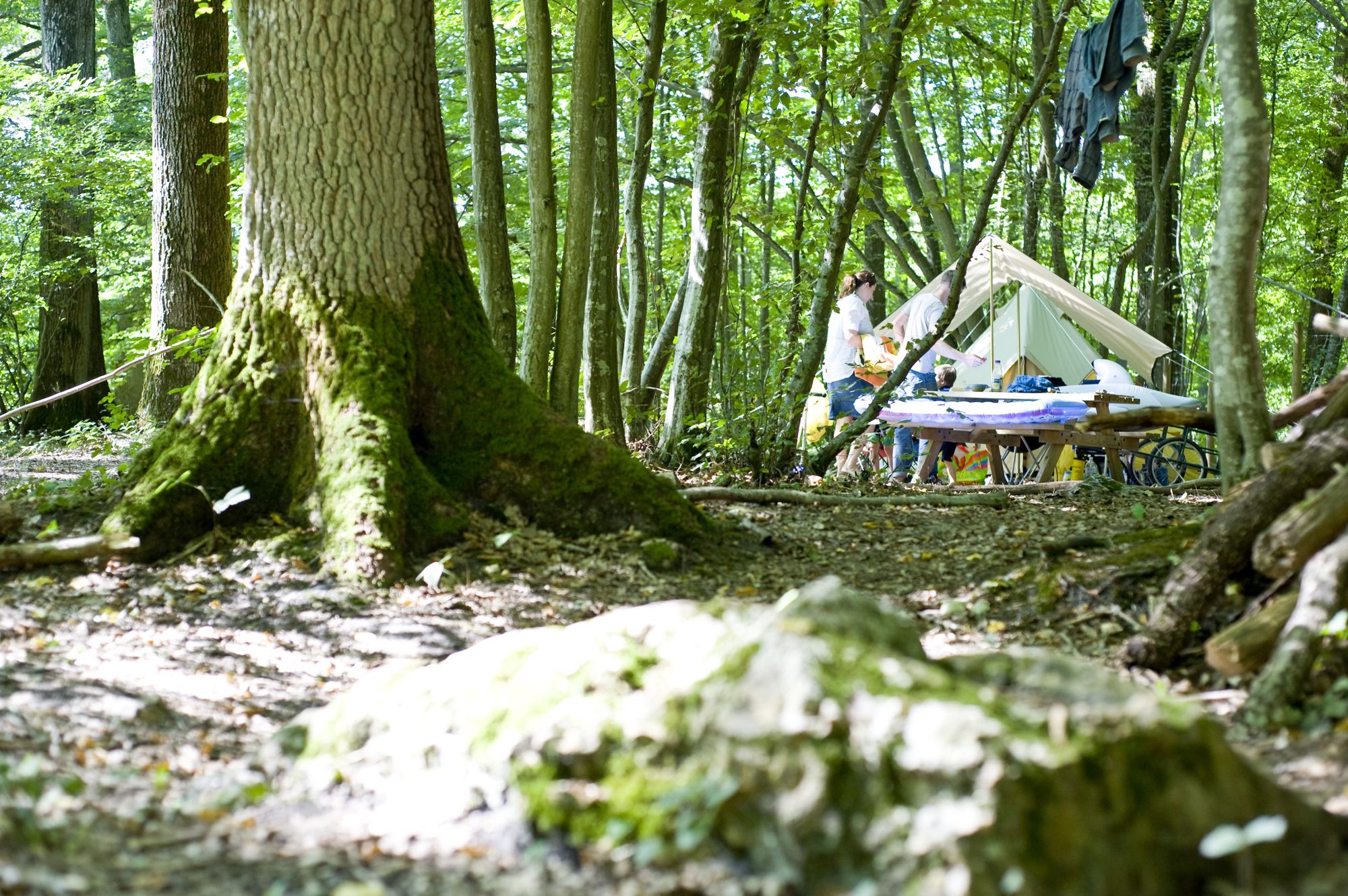 Campsites in Ile De France holidays at Glampingly