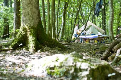 Forest camping for families that&#39;s wonderfully wild, natural and eco-friendly despite being just an hour from central Paris.