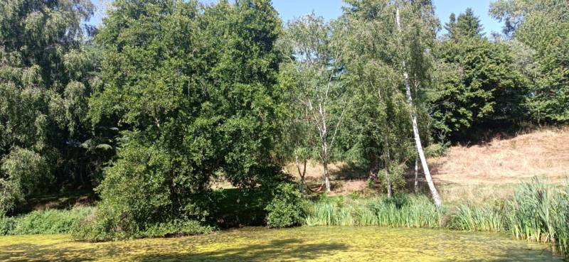 Pond Side -Double Pitch for 1-2 families