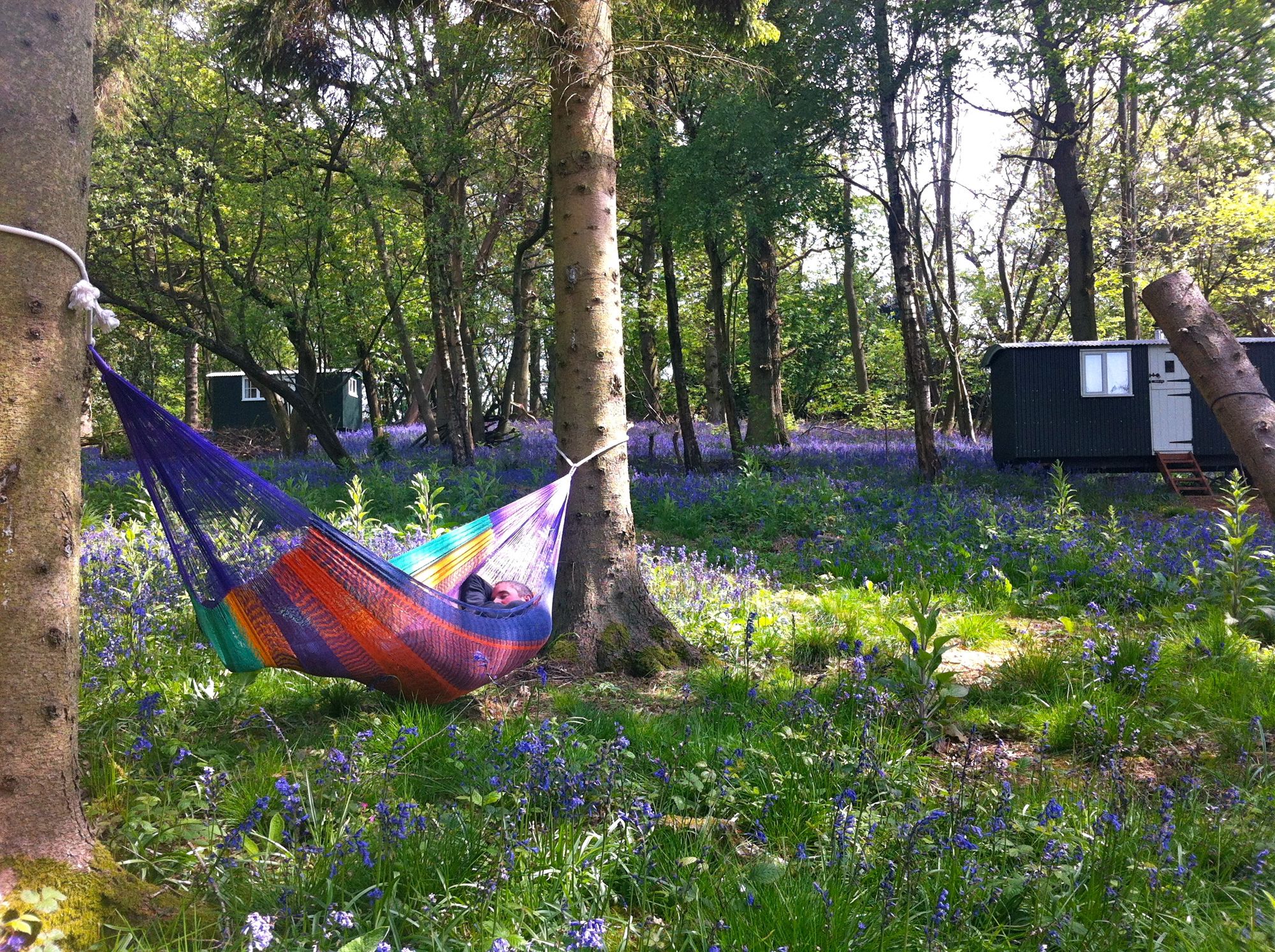 The Green Escape Leith Hill