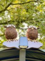 Two Hoots Landpod