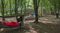 HamCamp, Pre-Pitched Hammocks in the Woods