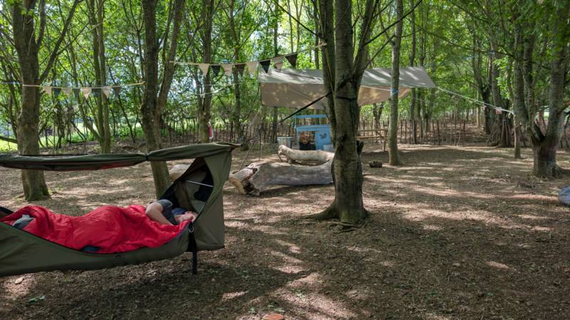 HamCamp, Pre-Pitched Hammocks in the Woods