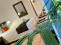Rainforest Queen Room