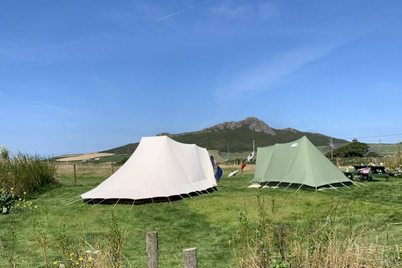 Goldfinch Electric Meadow Pitch - Tents Only