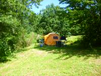 Woodland tent pitch