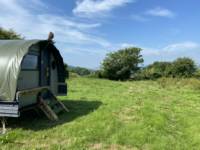 Little Coppet Landpod